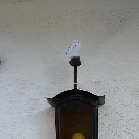 Balduin - & Flussblick