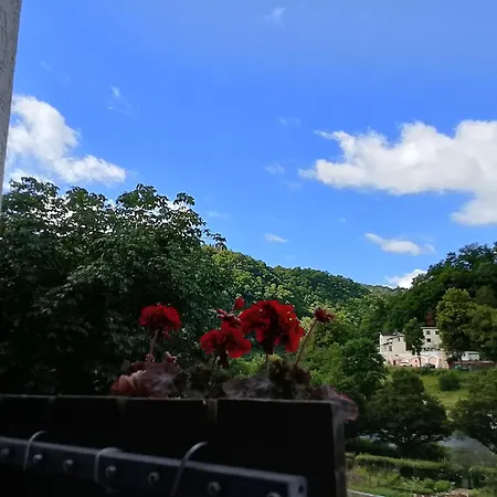 Balduin - & Flussblick Hotel