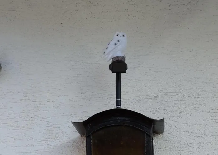 Balduin - & Flussblick